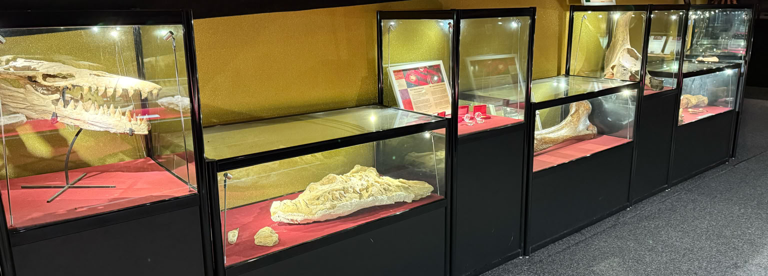 Stort tack till alla som stött A World of Dinosaurs genom att köpa våra stödmedaljer.