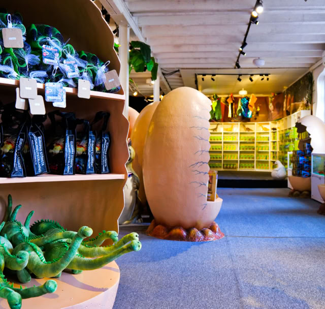 Olika leksaker för alla våra lekfulla besökare hos A World of Dinosaurs.